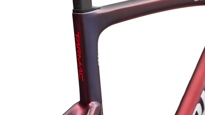 S-Works Tarmac SL9 Team Replica frameset, FDJ United - SUEZ colourway, frame detail