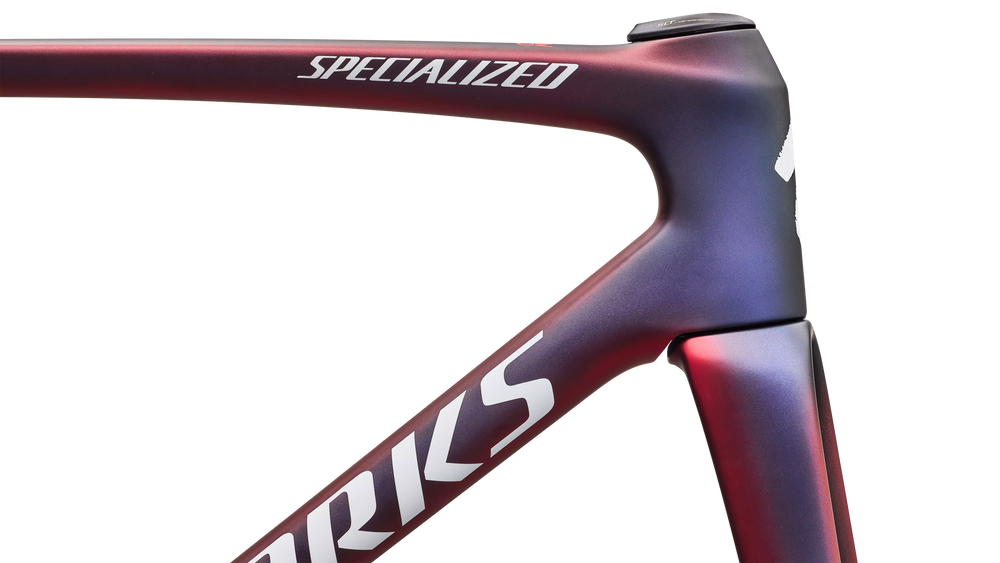 S-Works Tarmac SL9 Team Replica frameset, FDJ United - SUEZ colourway, frame detail close-up