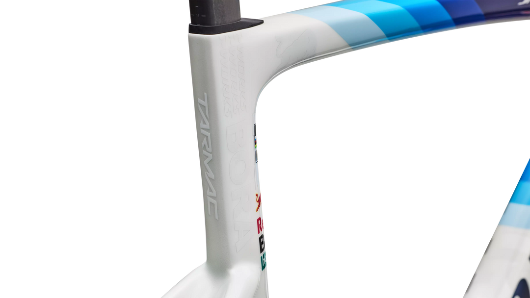 S-Works Tarmac SL9 Team Replica frameset, Red Bull - BORA - hansgrohe colourway, frame detail