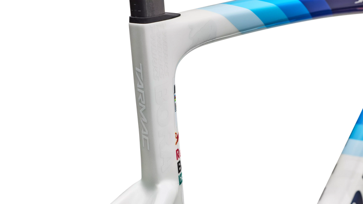 S-Works Tarmac SL9 Team Replica frameset, Red Bull - BORA - hansgrohe colourway, frame detail