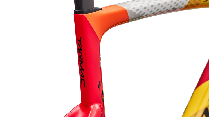 S-Works Tarmac SL9 Team Replica frameset, SD Worx - Protime colourway, frame detail