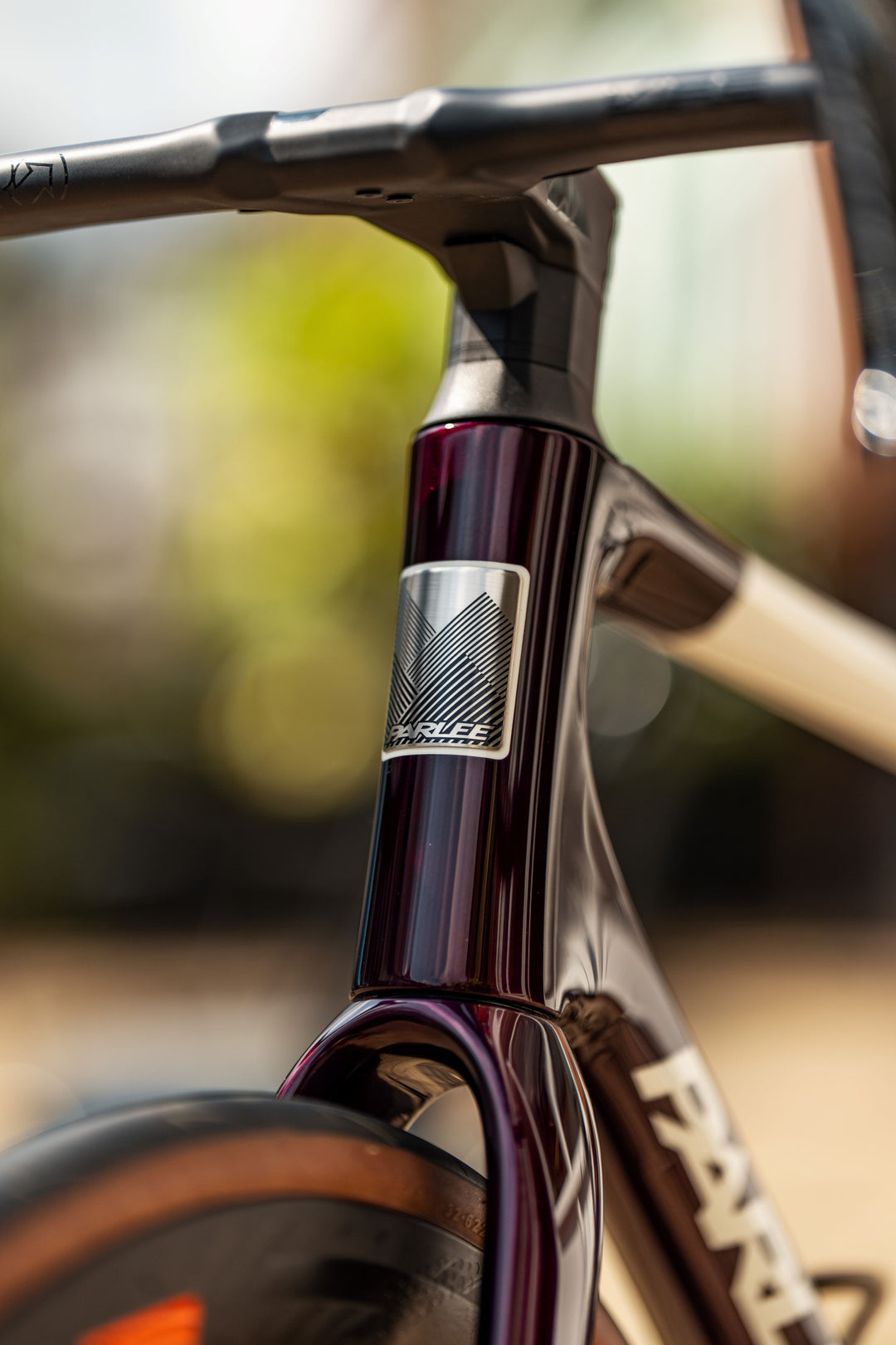 Parlee Ouray Dura Ace Full Build (Size M) Custom Paint (In store-one only)