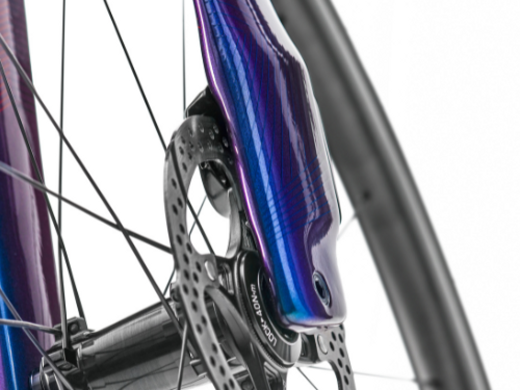Frame-integrated disc brake caliper on the E-119 Tri+ Disc