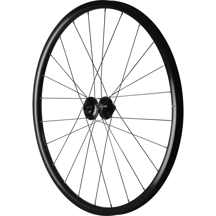 Mavic Aksium 1 wheels
