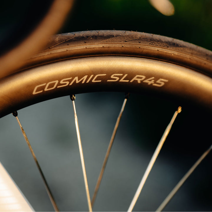 Mavic Cosmic SLR 45 Silver wheels