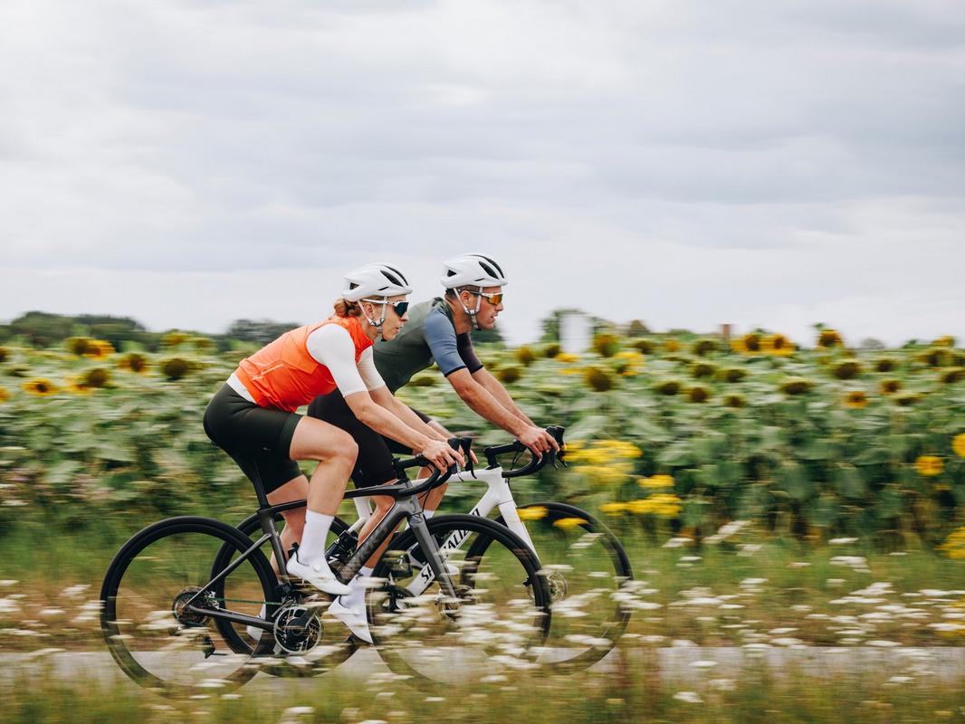Riders on Specialized Roubaix SL8 bikes past a sunflower field