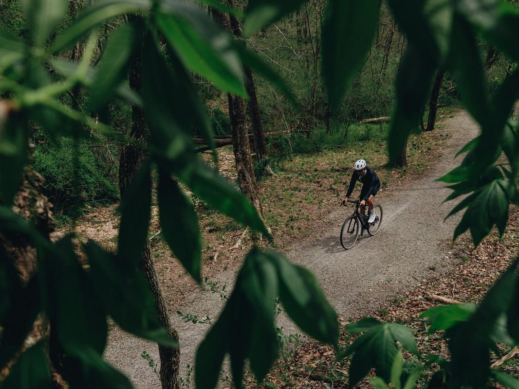 Rider on a forest gravel trail